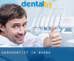 Endodontist in Borno