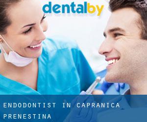 Endodontist in Capranica Prenestina