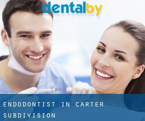Endodontist in Carter Subdivision