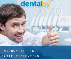 Endodontist in Castelfiorentino