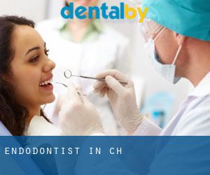 Endodontist in Chờ