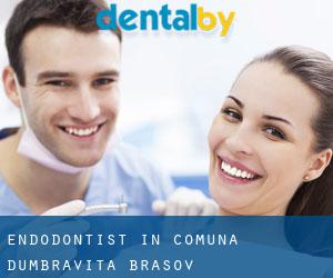 Endodontist in Comuna Dumbrăviţa (Braşov)