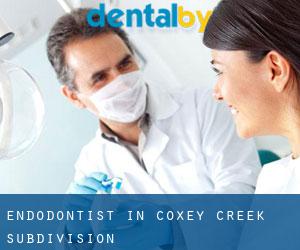 Endodontist in Coxey Creek Subdivision