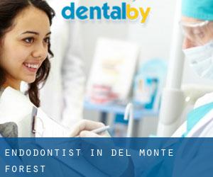 Endodontist in Del Monte Forest