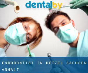 Endodontist in Detzel (Sachsen-Anhalt)