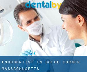 Endodontist in Dodge Corner (Massachusetts)