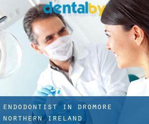 Endodontist in Dromore (Northern Ireland)