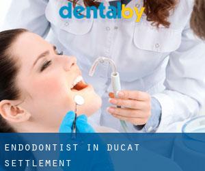 Endodontist in Ducat Settlement