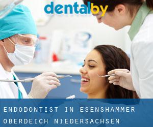 Endodontist in Esenshammer Oberdeich (Niedersachsen)