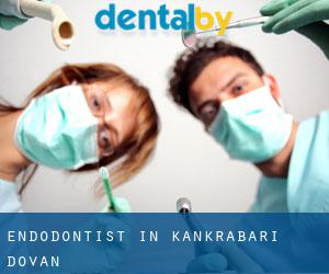 Endodontist in kankrabari Dovan