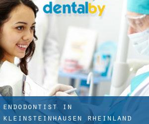 Endodontist in Kleinsteinhausen (Rheinland-Pfalz)