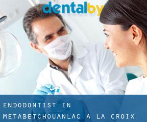 Endodontist in Metabetchouan–Lac-a-la-Croix