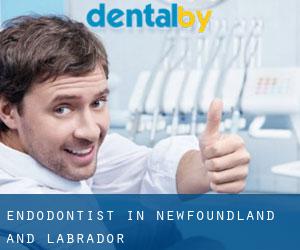 Endodontist in Newfoundland and Labrador