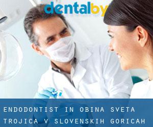 Endodontist in Občina Sveta Trojica v Slovenskih Goricah