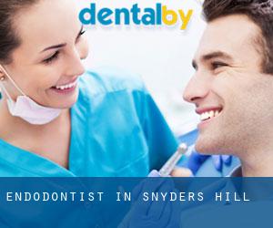 Endodontist in Snyders Hill