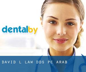 David L Law, DDS ,PC (Arab)
