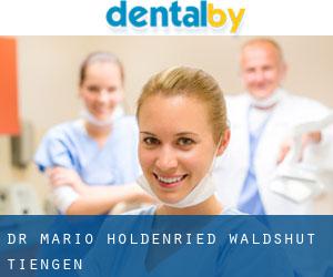 Dr. Mario Holdenried (Waldshut-Tiengen)