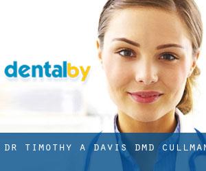 Dr Timothy A. Davis, DMD (Cullman)