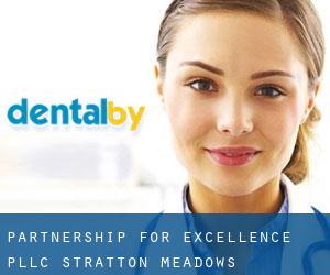 Partnership for Excellence, P.L.L.C. (Stratton Meadows)