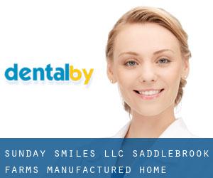 Sunday Smiles Llc (Saddlebrook Farms Manufactured Home Community)