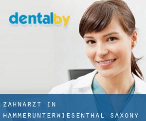 zahnarzt in Hammerunterwiesenthal (Saxony)