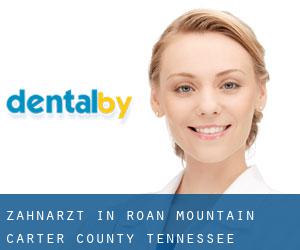 zahnarzt in Roan Mountain (Carter County, Tennessee)